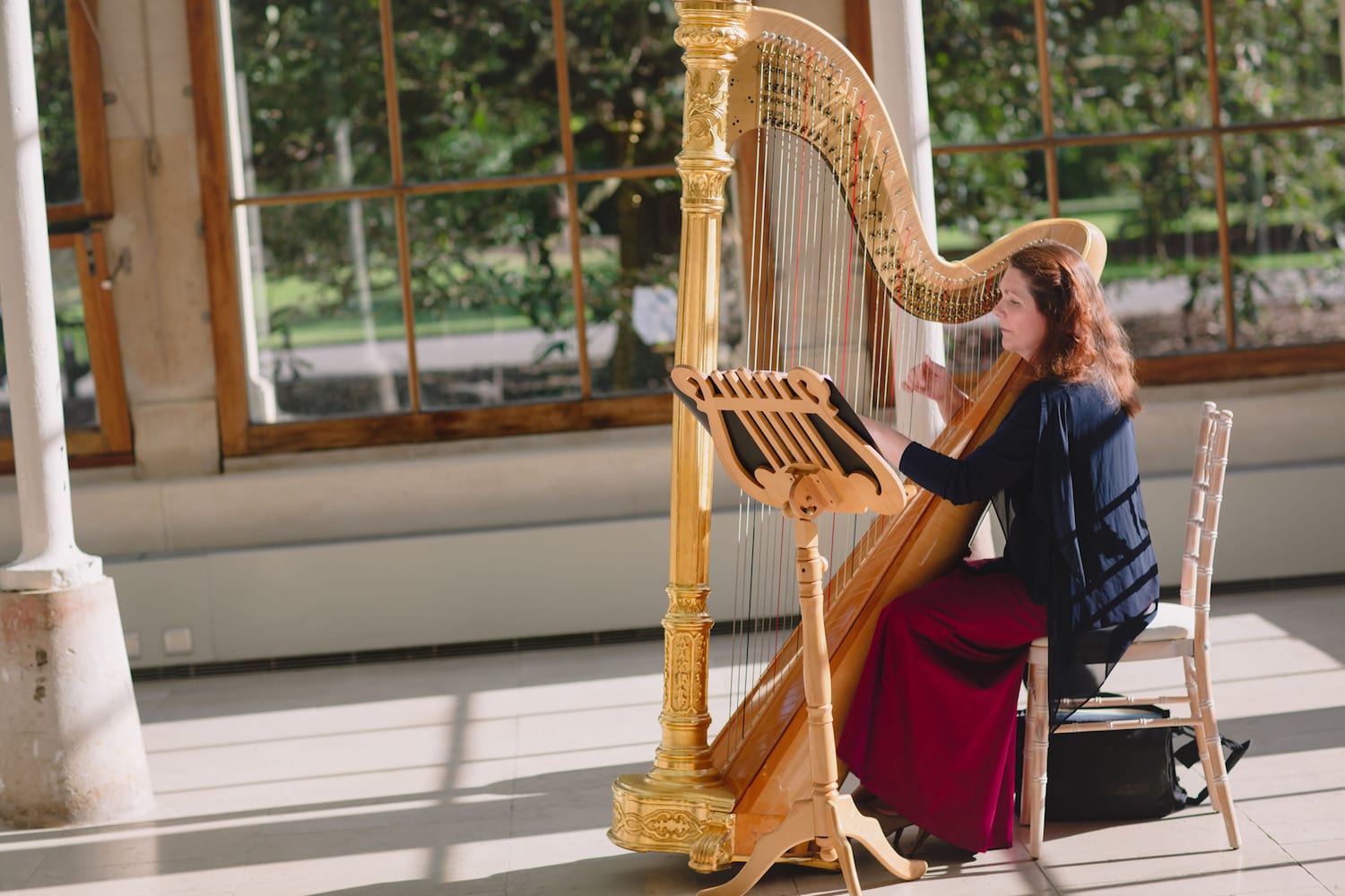Hayley Harp