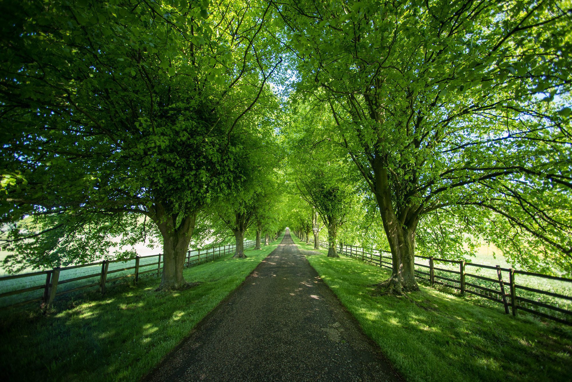 Eco Friendly Wedding Venues Are The Future